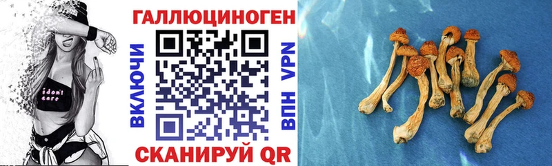 Купить где  Елизово  Галлюциногенные грибы прущие грибы 