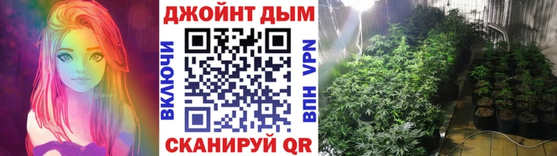 Каннабис планчик  Купить  Елизово 